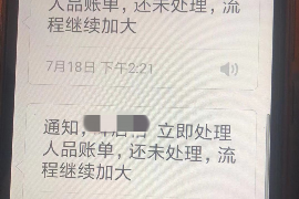 兰州兰州的要账公司在催收过程中的策略和技巧有哪些？